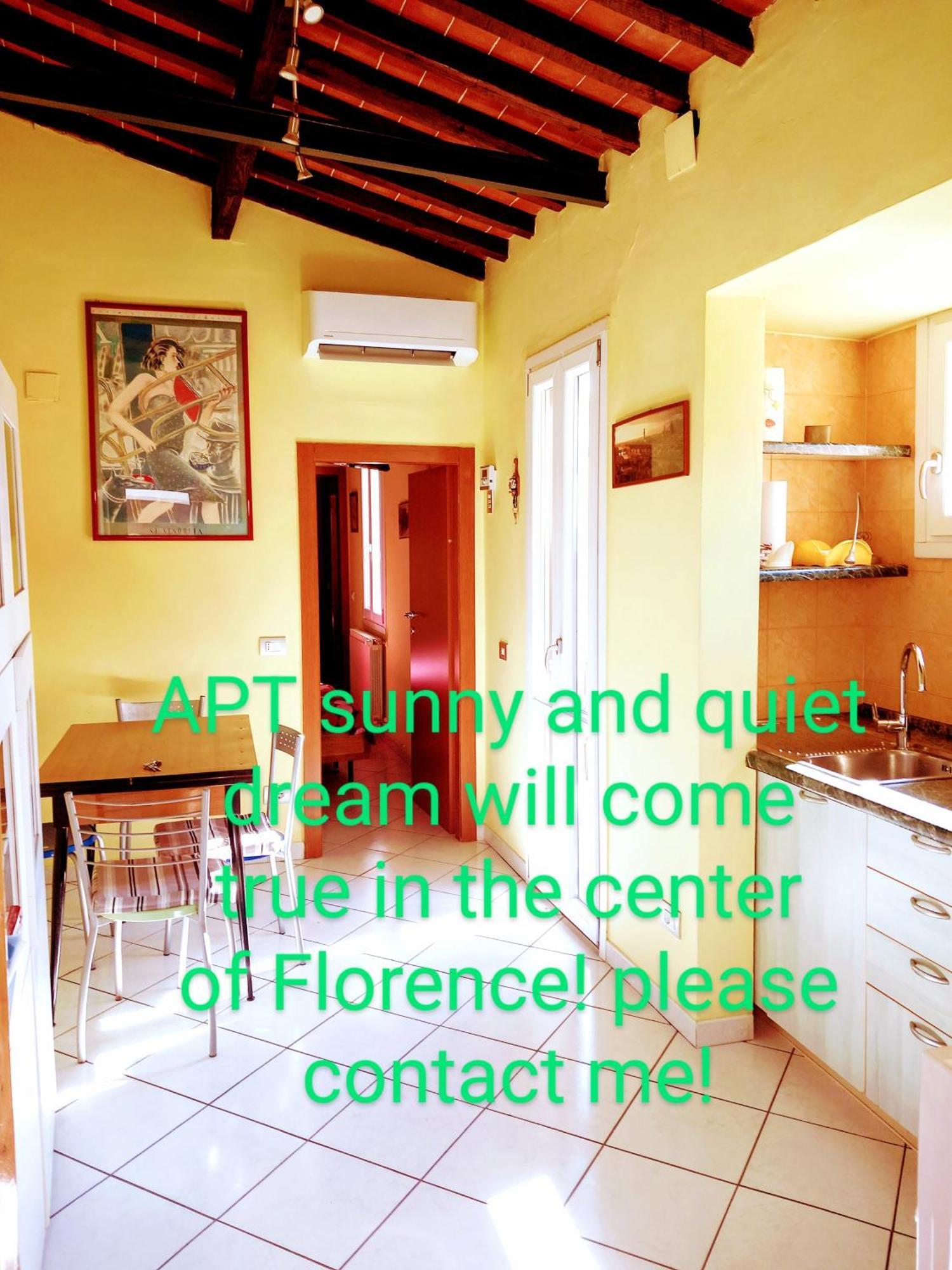Apt Bright, Quiet! In The Center. Florença Exterior foto